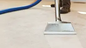 Carpet cleaning wand head gliding over a light carpet during hot-water extraction, Nashua, NH.