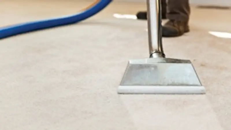 Carpet cleaning wand head gliding over a light carpet during hot-water extraction, Nashua, NH.
